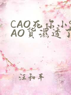 CAO死你小SAO货湿透了学长