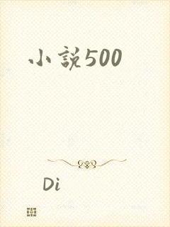 小说500