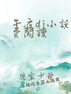 午夜dj小说免费阅读