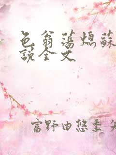 色翁荡熄苏钥小说全文