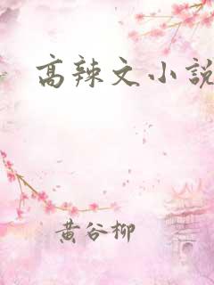 高辣文小说