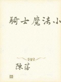 骑士魔法小说