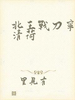 北王战刀宁北苏清荷