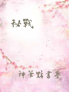 秘战