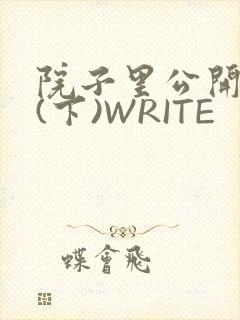 院子里公开惩戒(下)WRITE
