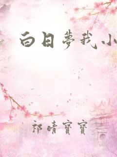 白日梦我小说