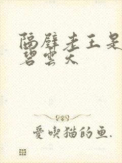 隔壁老王是皇帝碧云天