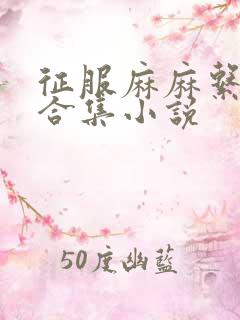 征服麻麻系列大合集小说