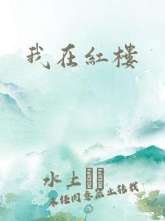 我在红楼