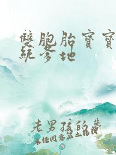 双胞胎宝宝的总统爹地