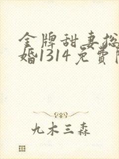 金牌甜妻总裁宠婚1314免费阅读
