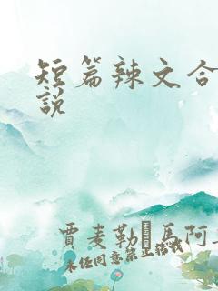 短篇辣文合集小说