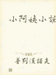 小阿姨小说