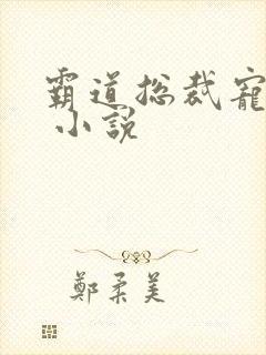 霸道总裁宠上天 小说