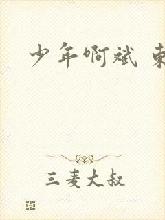 少年啊斌 东房