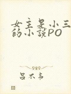 女主是小三很婊的小说PO