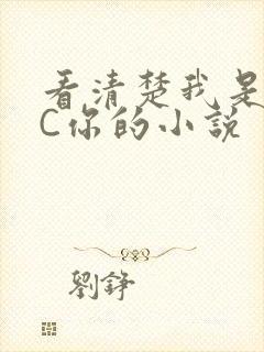 看清楚我是怎么C你的小说