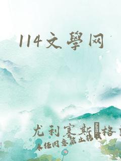 114文学网