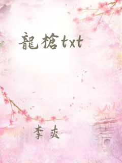 龙枪txt