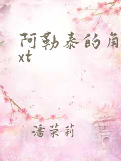 阿勒泰的角落txt