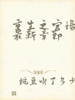 重生之官场风流最新章节