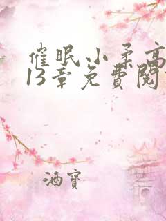 催眠小柔高达第13章免费阅读