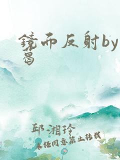 镜面反射by九葛