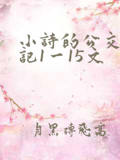 小诗的公交车日记1一15文
