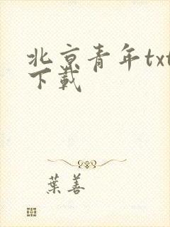 北京青年txt下载