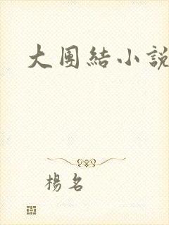 大团结小说阅读