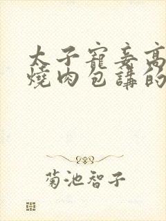 太子宠妾高肉红烧肉包讲的什么