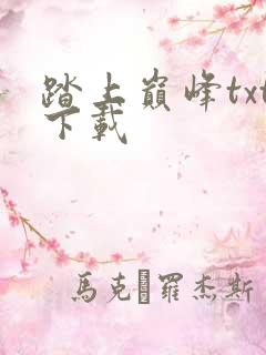 踏上巅峰txt下载