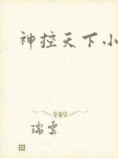神控天下小说