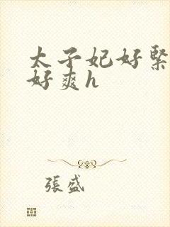 太子妃好紧皇上好爽h