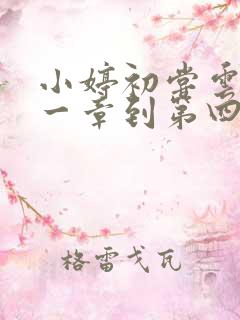 小婷初尝云雨第一章到第四章