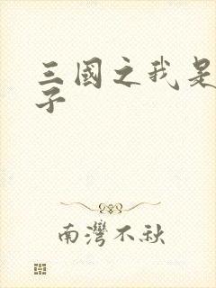 三国之我是皇太子