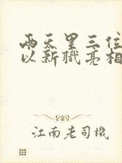 两天里三位将军以新职亮相