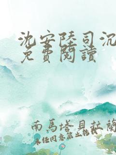 沈安陆司沉小说免费阅读