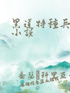 黑道特种兵有声小说