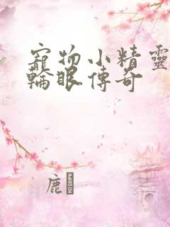 宠物小精灵之写轮眼传奇