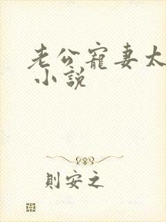 老公宠妻太甜蜜 小说