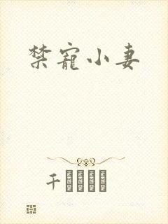 禁宠小妻