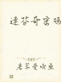 达芬奇密码小说