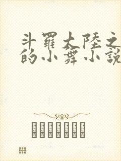 斗罗大陆之Y荡的小舞小说