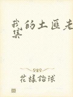 我的土匪老婆全集