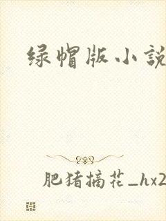 绿帽版小说