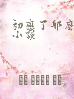 初恋了那么多年小说