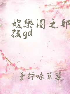 娱乐圈之那个女孩gd