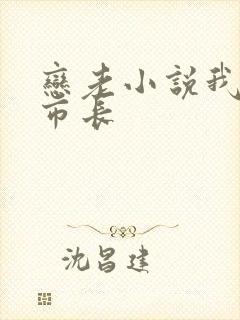 恋老小说我和老市长