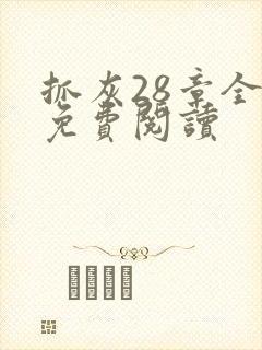 抓灰28章全部免费阅读